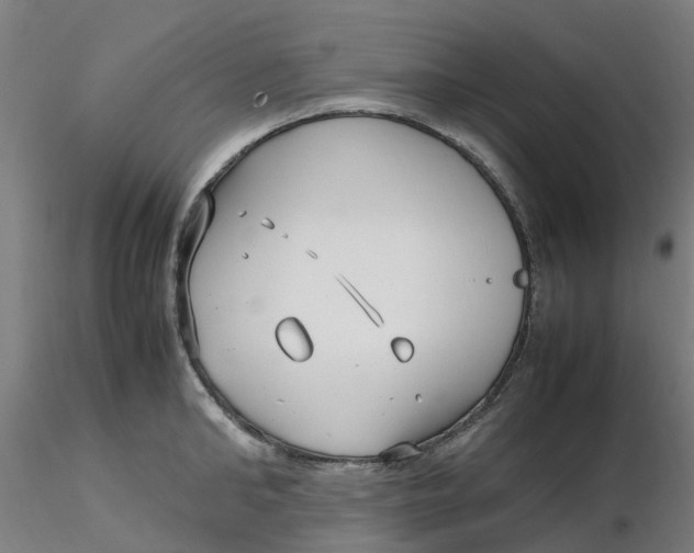 X0000116350902200912221459