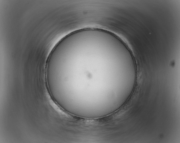 X0000116350903200912221459