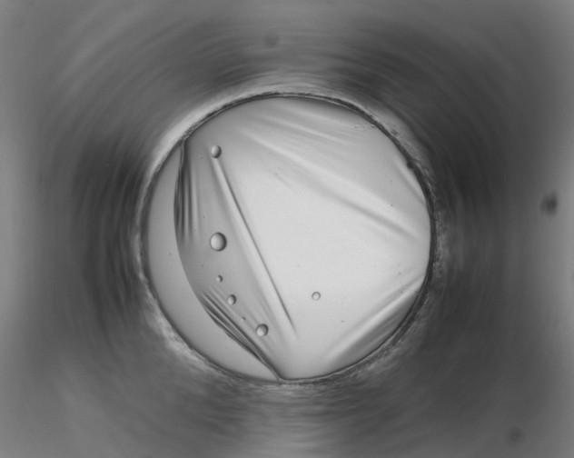 X0000116350904200912221459