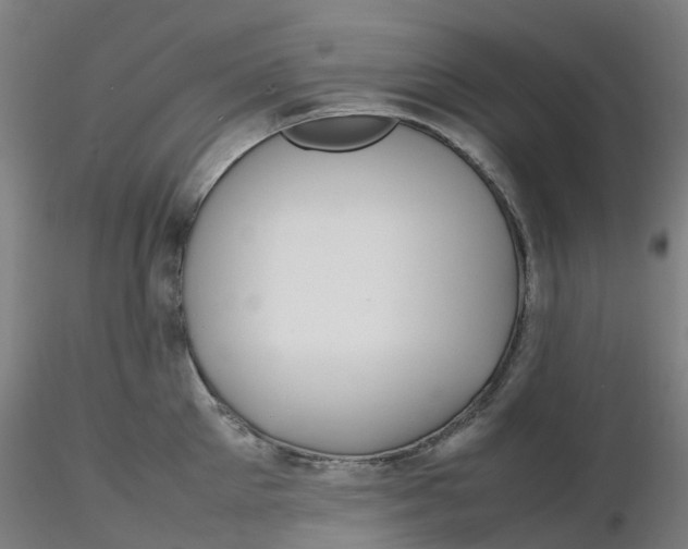 X0000116350905200912221459