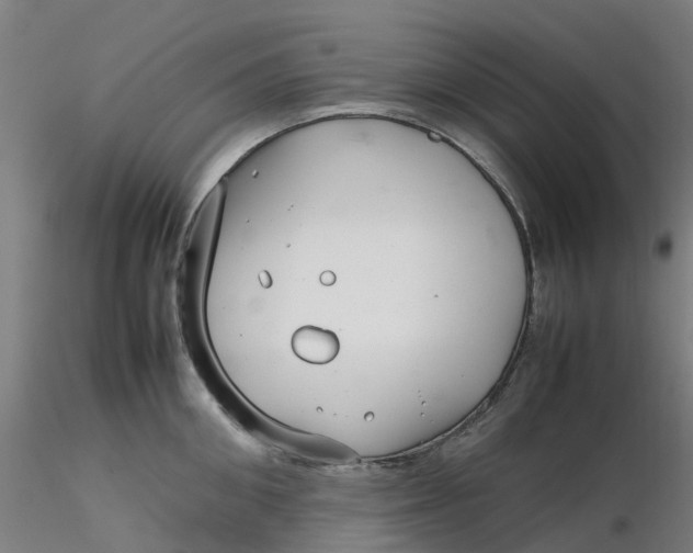 X0000116350906200912221459