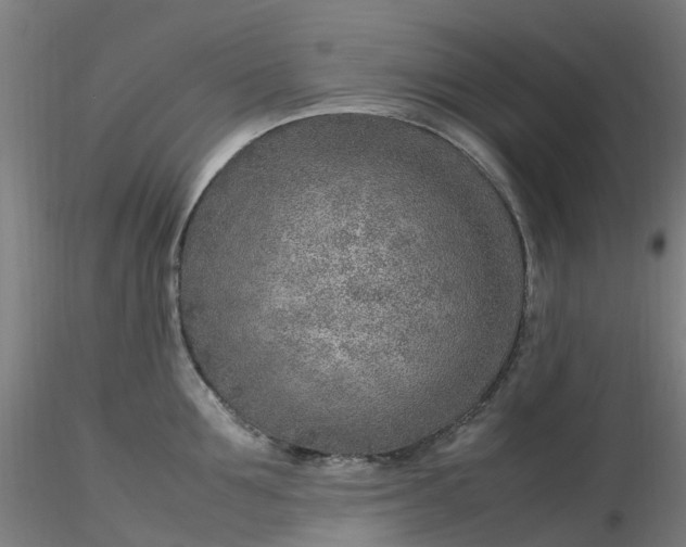 X0000116350907200912221459