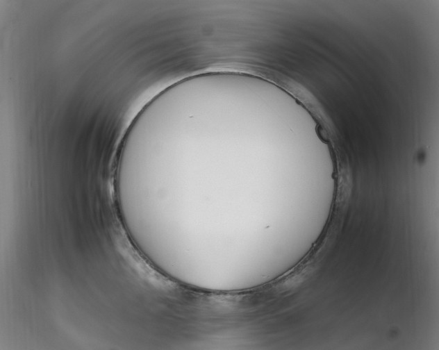 X0000116350908200912221459