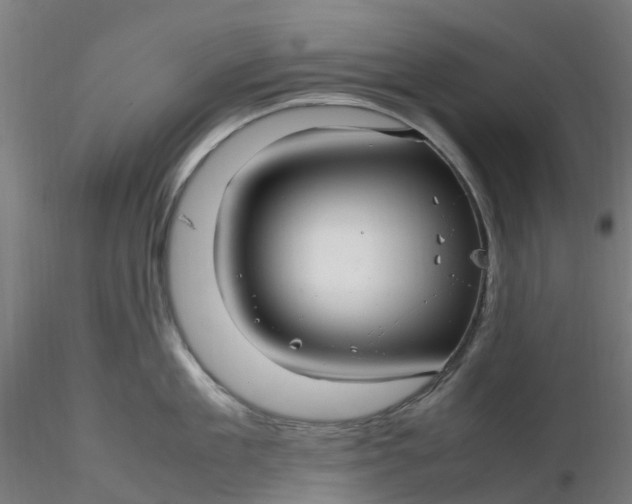 X0000116350909200912221459