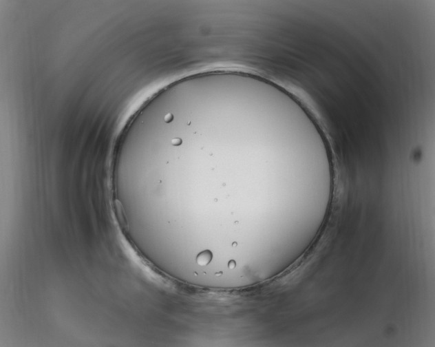 X0000116350910200912221459