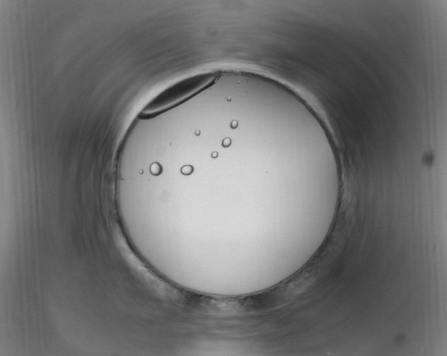 X0000116350911200912221459