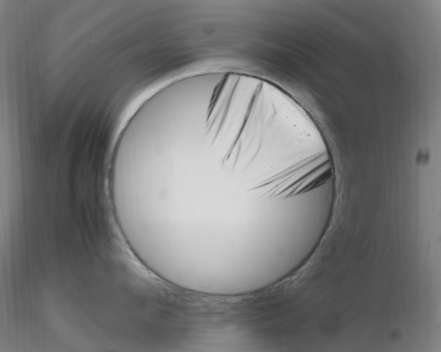 X0000116350912200912221459