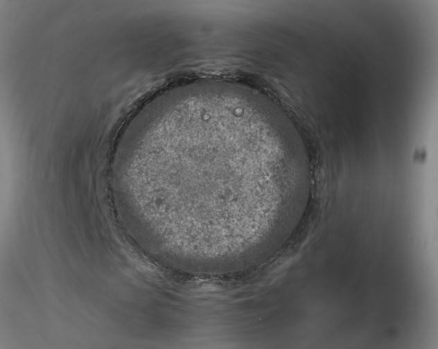 X0000116350913200912221458