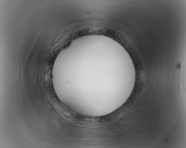 X0000116350914200912221458