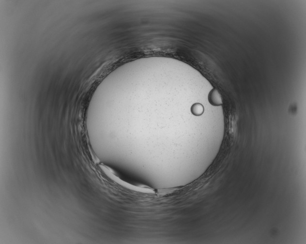 X0000116350915200912221458