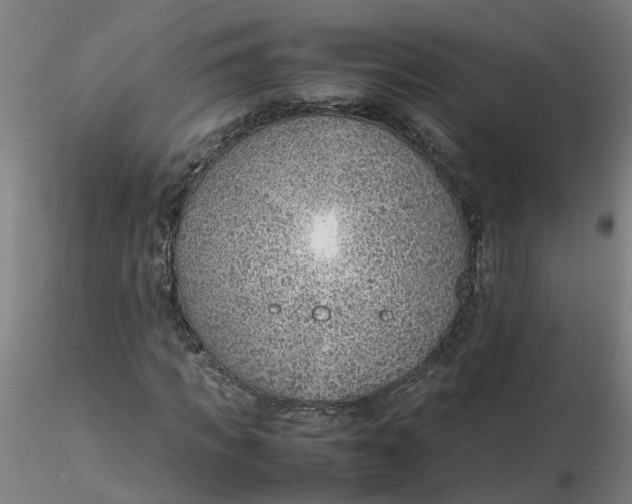 X0000116350917200912221459