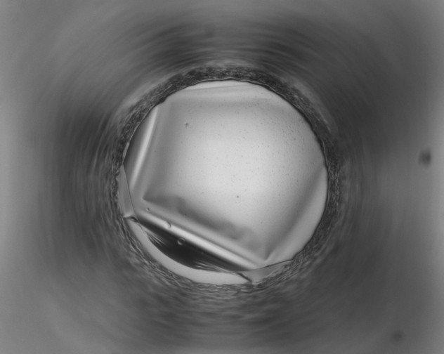 X0000116350919200912221459