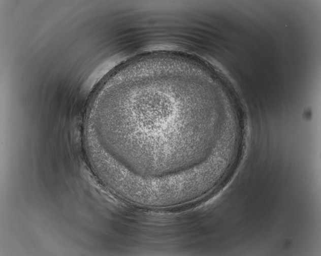 X0000116350921200912221459