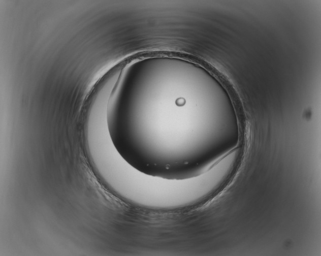 X0000116350925200912221459