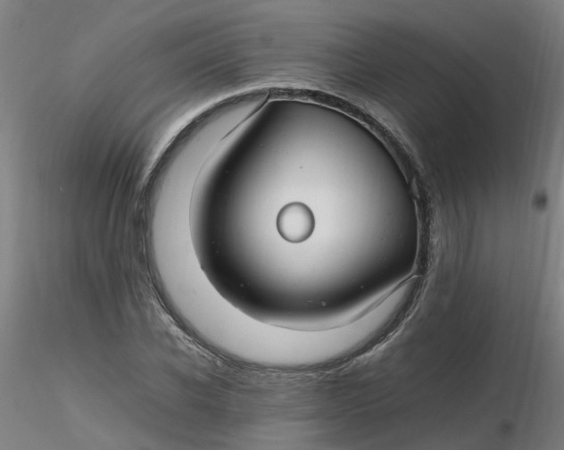 X0000116350926200912221459