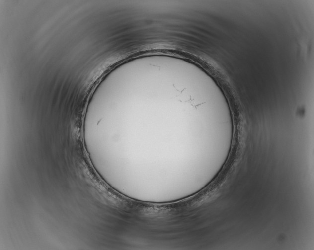 X0000116350929200912221459