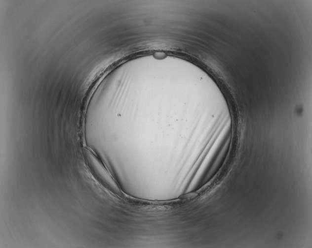 X0000116350930200912221459