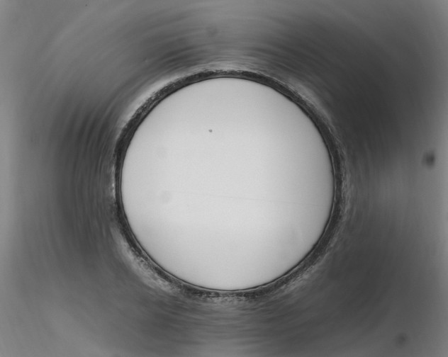 X0000116350934200912221459