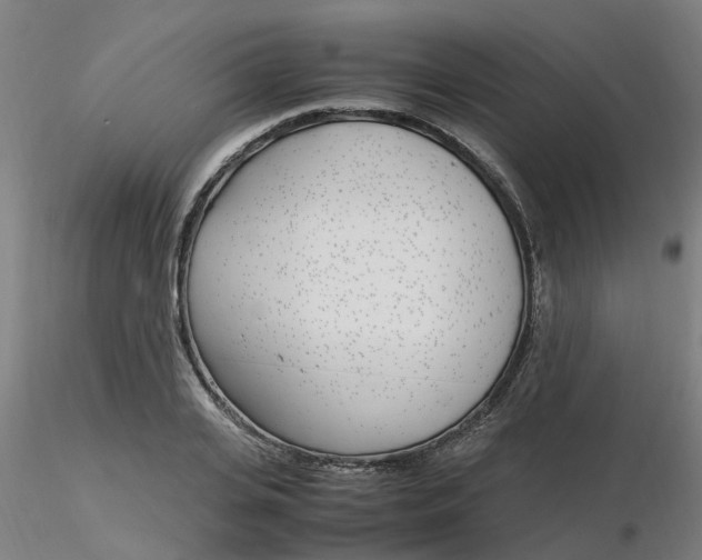 X0000116350935200912221459