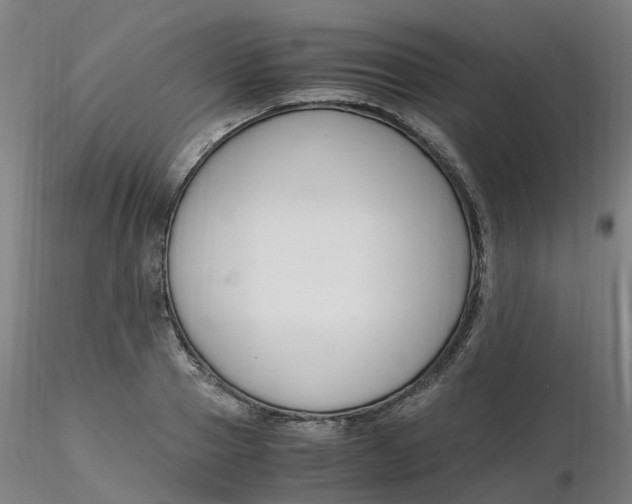 X0000116350937200912221459