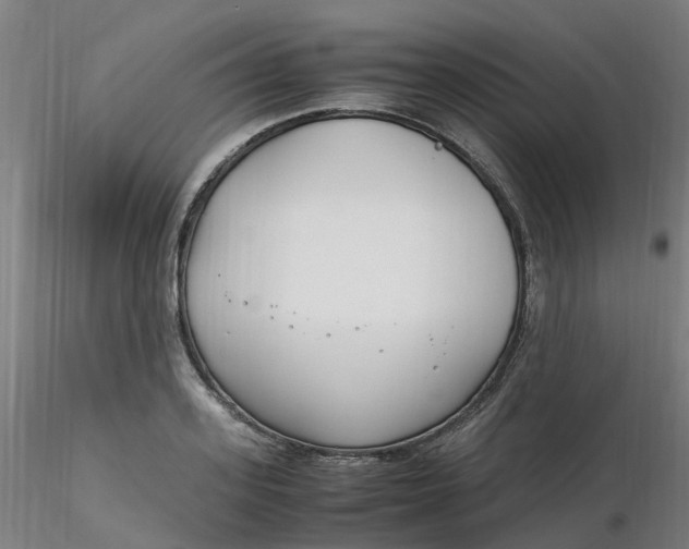 X0000116350939200912221459