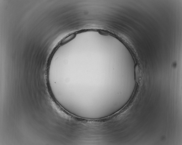 X0000116350942200912221459