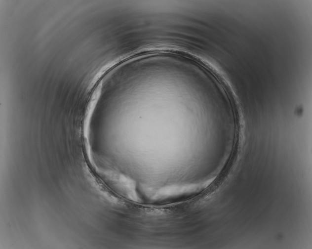 X0000116350945200912221459