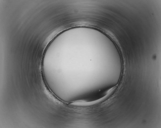 X0000116350946200912221459