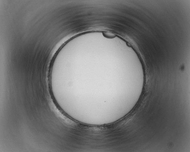 X0000116350947200912221459