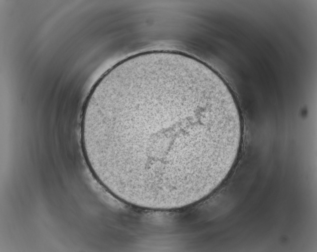 X0000116350950200912221459