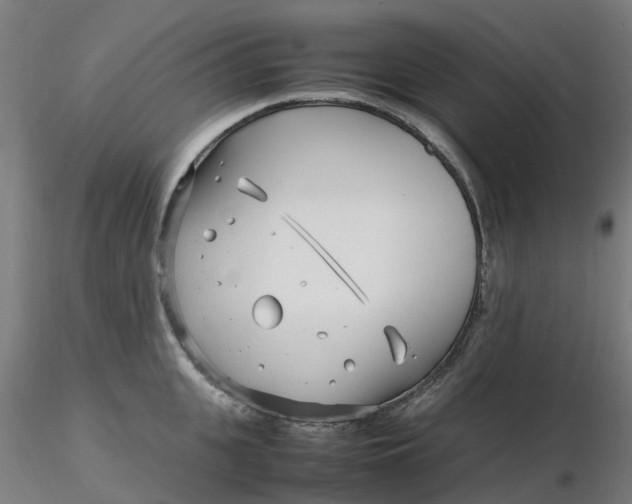 X0000116350951200912221459