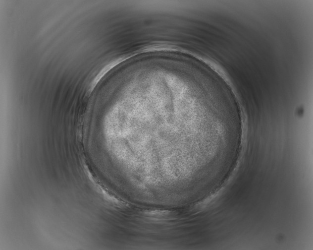 X0000116350953200912221459