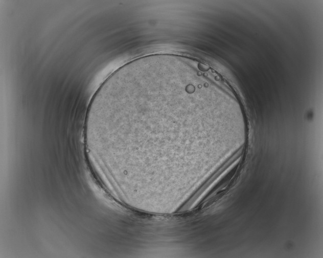 X0000116350954200912221459