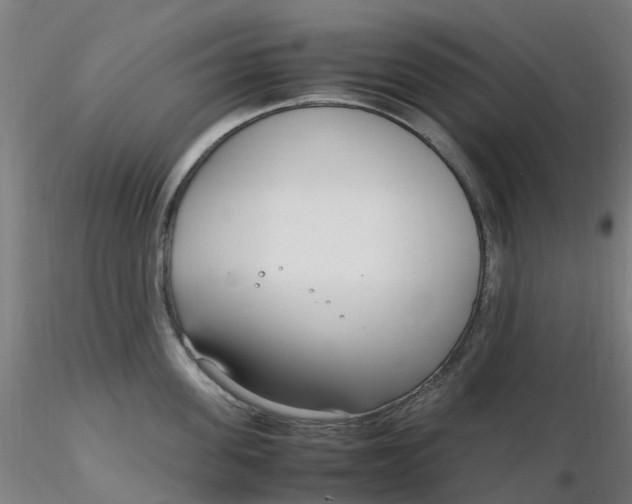 X0000116350955200912221459