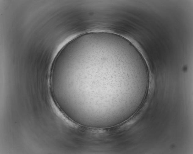 X0000116350957200912221459