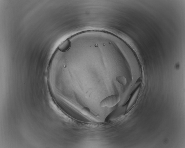 X0000116350958200912221459