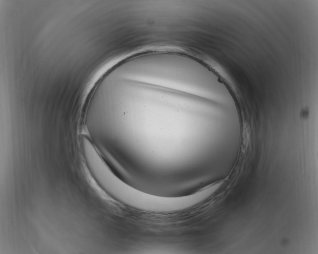 X0000116350959200912221459