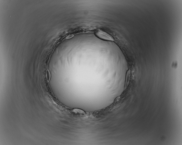 X0000116350961200912221458