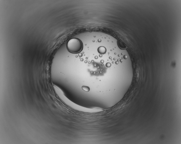 X0000116350964200912221458