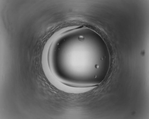 X0000116350965200912221458