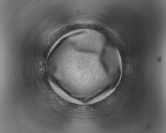 X0000116350966200912221458