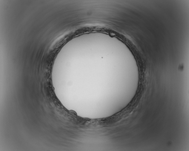 X0000116350967200912221458