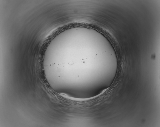 X0000116350968200912221458