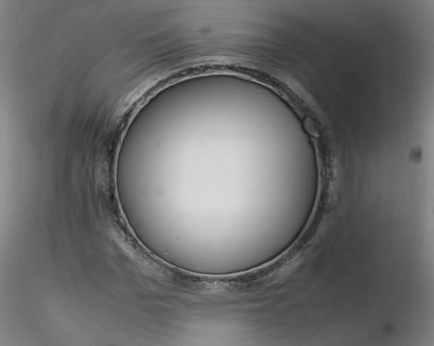 X0000116350969200912221458