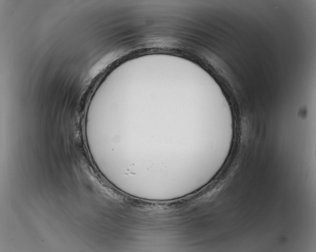 X0000116350970200912221458