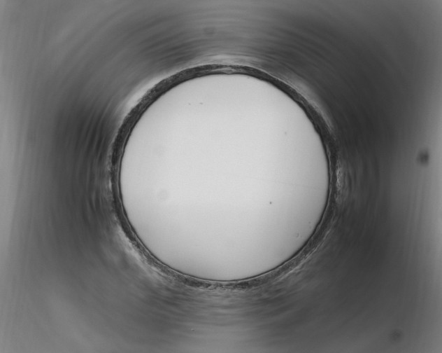 X0000116350972200912221458