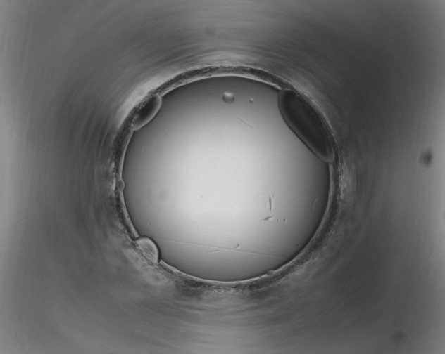 X0000116350973200912221458