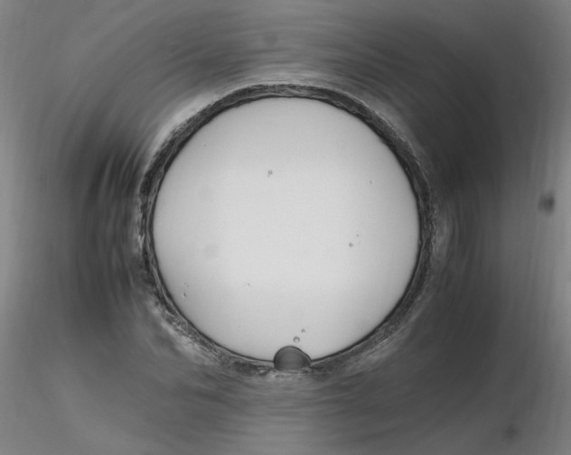 X0000116350974200912221458