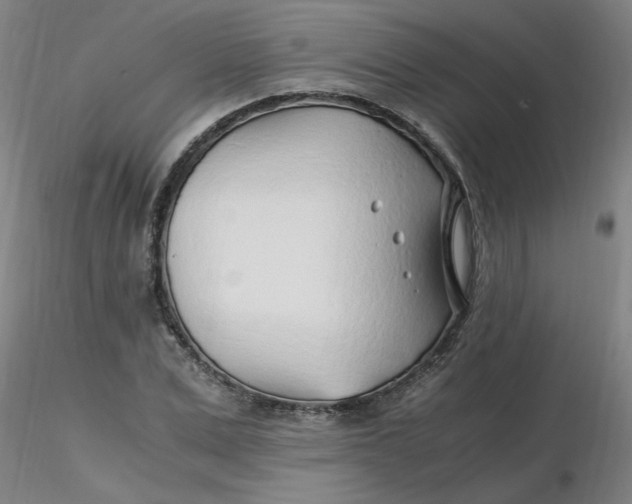 X0000116350975200912221458