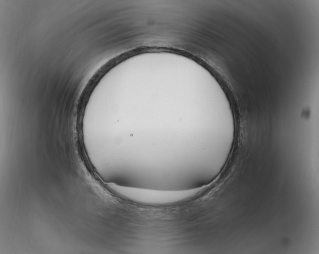 X0000116350976200912221458